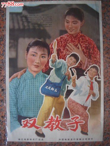 做个NSW驾驶证